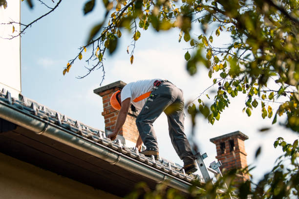 Best Best Roofing Contractors  in Woodlake, CA